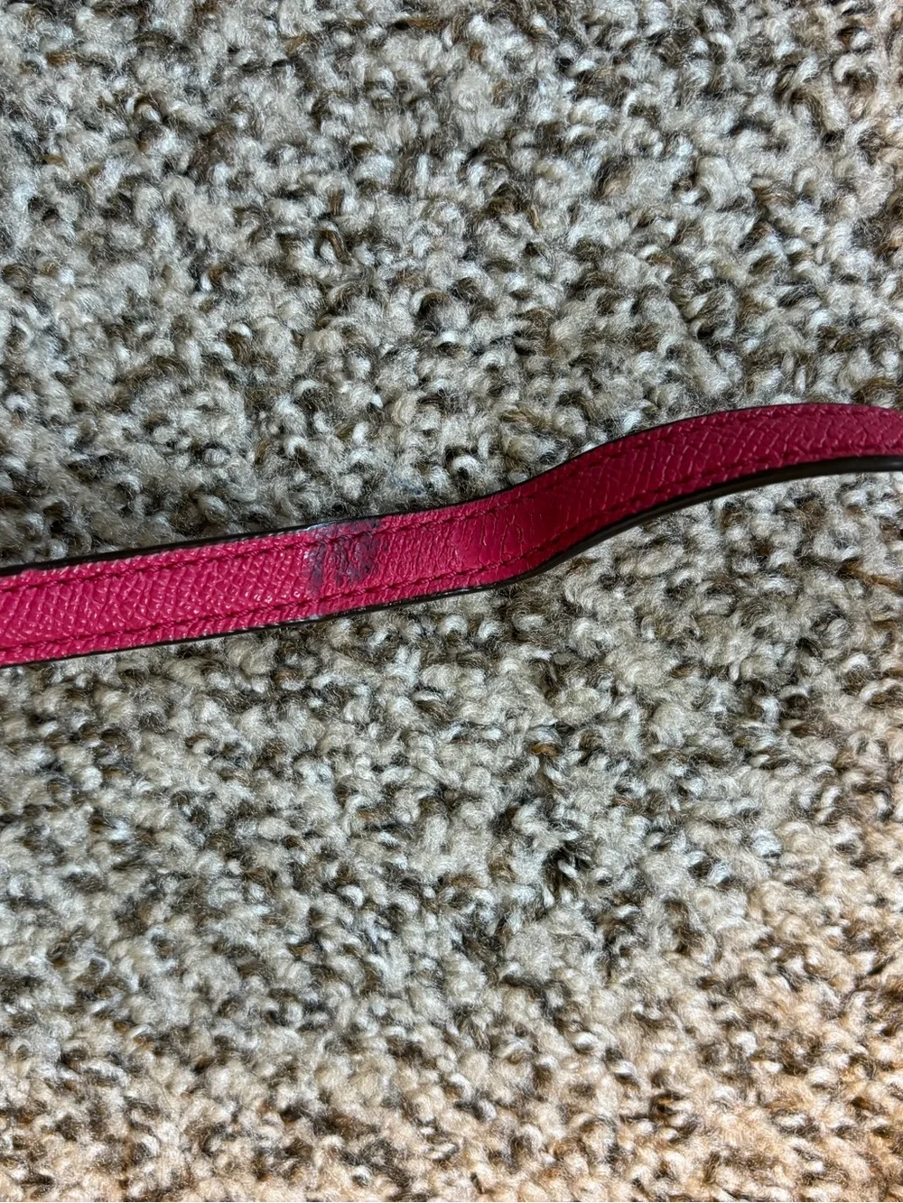 Coach Pink Crossbody Bag